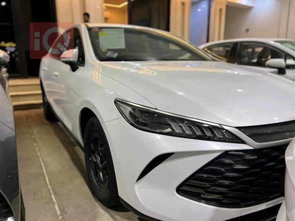 بي واي دي Qin Plus 2025 للبيع في العراق - النجف